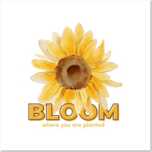 BLOOM WHERE YOU ARE PLANTED Posters and Art